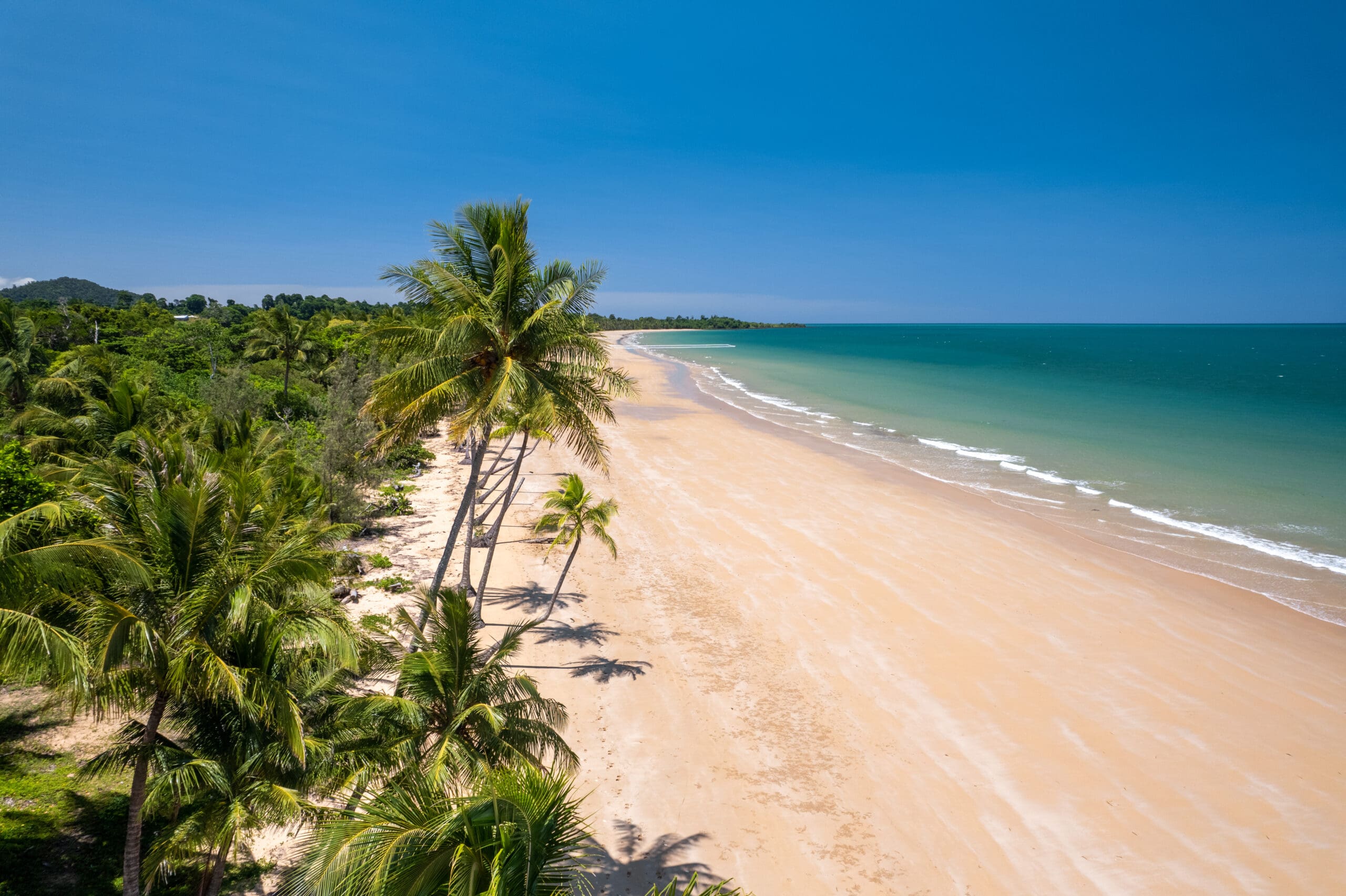 Discover Mission Beach - Restaurants, Bars and Attractions.